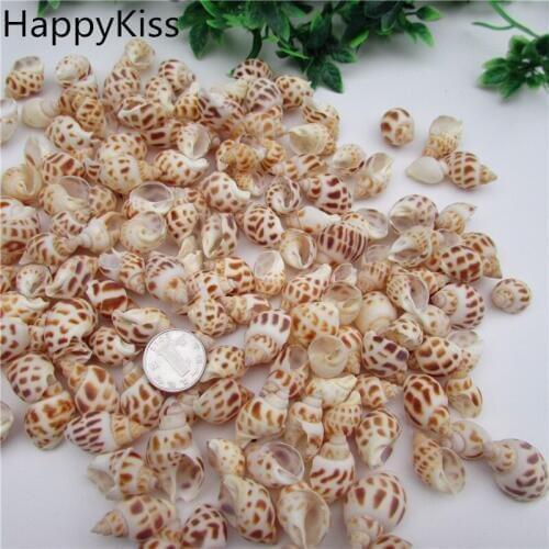 HappyKiss 10pcs Natural conch shells bandits screw drift bottles accessories platform microscopic potted creative DIY sea