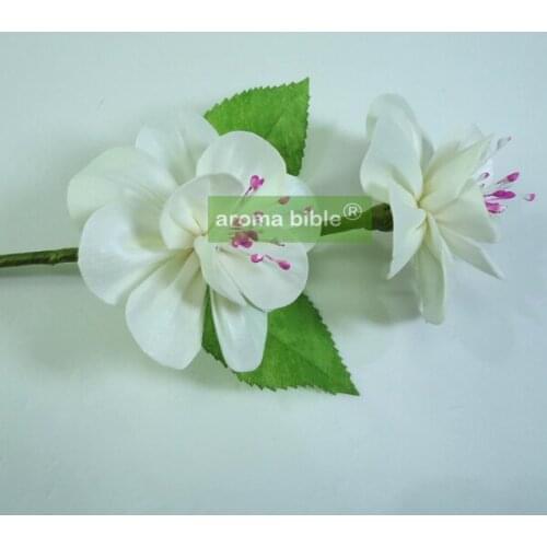1000 pcs / lot Sola wood Flowers for home fragrance diffuser With Rope or rattan reed sticks