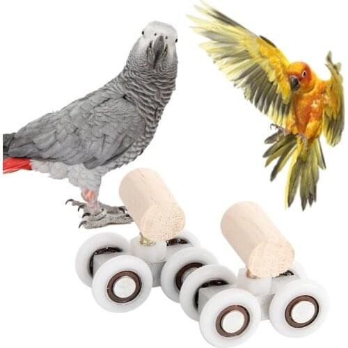 Let’s Pet Roller Skates