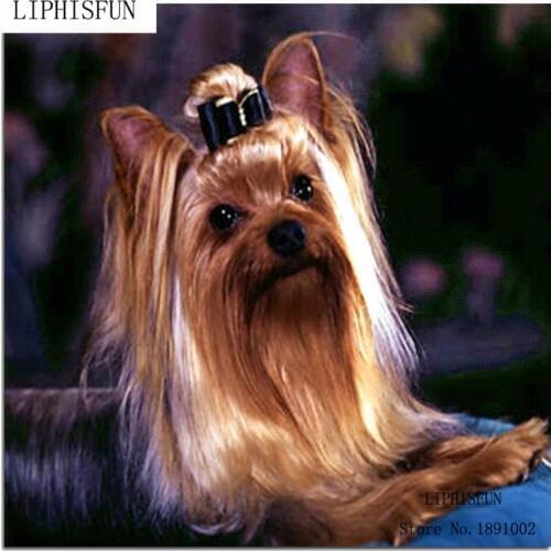 Diamond Painting Embroidery Animals Dog Embroidery Kits Animals Diamond Yorkshire Art Picture Rhinestones A Set Of Cross-stitch