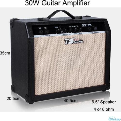 30W Digital Acoustic Guitar Amp Amplifier Speaker 6.5 inches with 3Bands Effects & 2 Simulation Effect Earphone Input Black