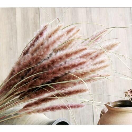 Real Plants Dried Small Pampas Grass Flowers Pantas Artificiales Para Decoracion Home Decor Wedding Decoration 15Pcs