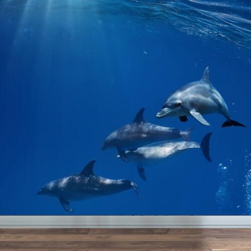 Dropshipping Colomac Blue Wallpaper Simple Deep Seabed Dolphins Marine Life Wallpaper Kids Wall Murals papier peint mural 3d