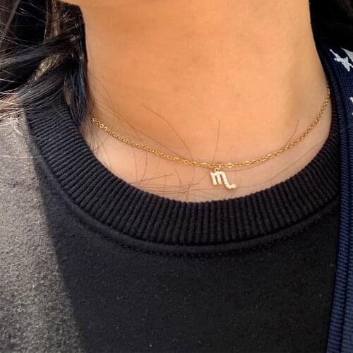 Simple Small 12 Zodiac Letter Constellations Necklace & Pendant Trendy Gold Color CZ Leo Charm Stainless Steel Chain Jewelry