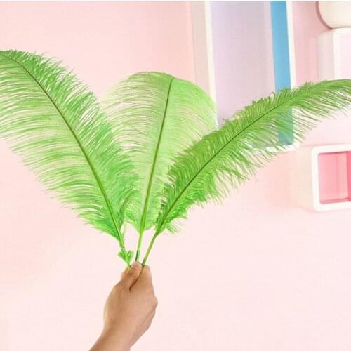Sales of high-quality 50pcs / Many Apple green ostrich feathers 45-50cm, DIY wedding decorations / decorative home accessories
