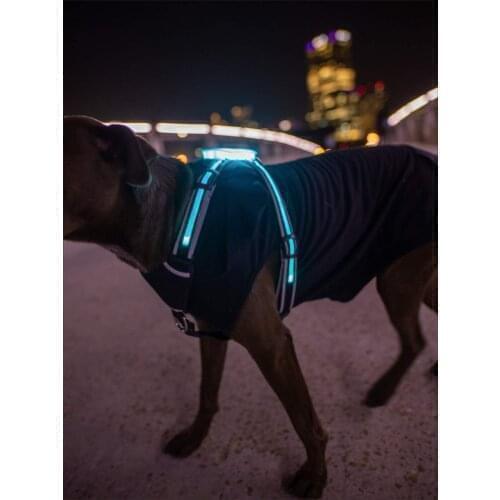CC Simon unique Led Dog harnesses usb rechargeable Puppy Lead Pets Vest for large dog 2021