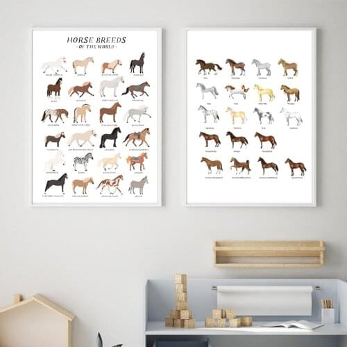 Horse Breeds Educational Poster Nursery Wall Art Prints Cartoon Ponies Canvas Painting Rider Gift Kids Children‘’s Room Decor