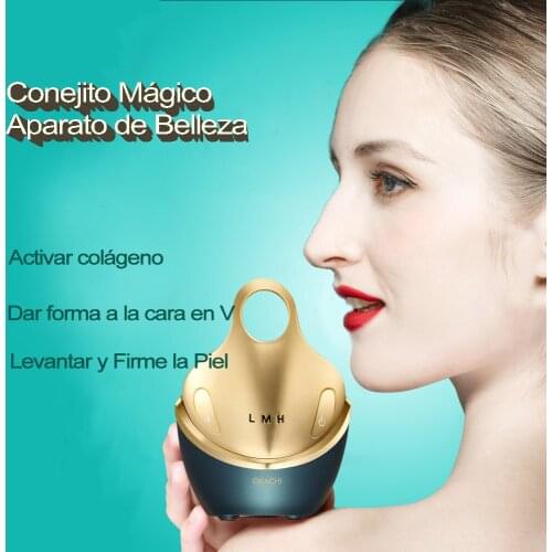 Ems Rf Led Photon Portable Handheld Electric Vibrating Massage Wrinkle Removal Anti Aging Face Massager