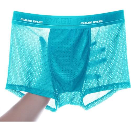 2/4pcs/Lot Ventilate Man Boxer Brand Men Underwear Summer Ice Network Mesh Breathable Sexy Youth Boxer Shorts Four shorts Cosy