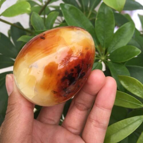 1 pcs Natural red agate Crystal gemstone egg meditation healing chakra polished carnelian crystal egg home decoration Madagascar