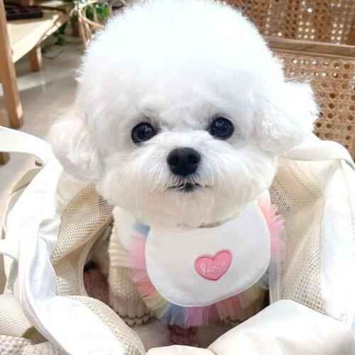 INS Pet Bibs for Small Dog Cute Cat Accessories Fashion Pet Saliva Towel for Teedy Lattice Dog Supplies Cotton Puppy Accessories