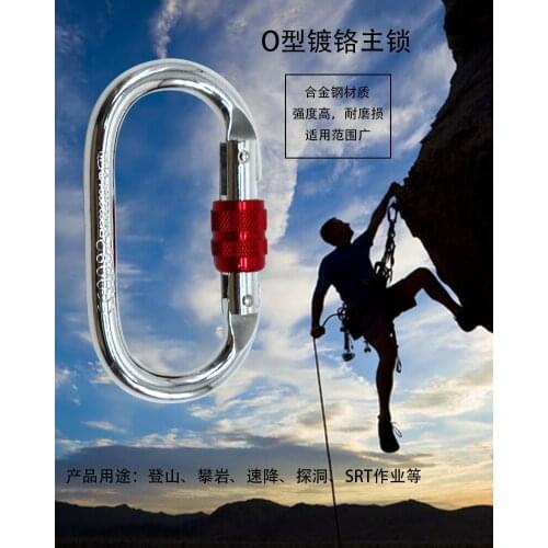 2PS Professional Carabiner D Shape 25KN Carbiner Key Hooks Climbing Ascend Security Safety Master Lock Outdoor Protective