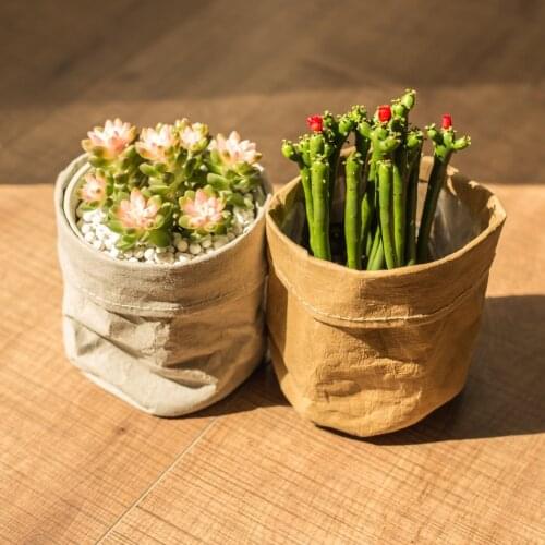 Washable Kraft Paper Bag Kitchen Organizer Washable Kraft Paper Bag Mini Succulents Kraft Paper Flower Pot Cover Flowerpot Bag