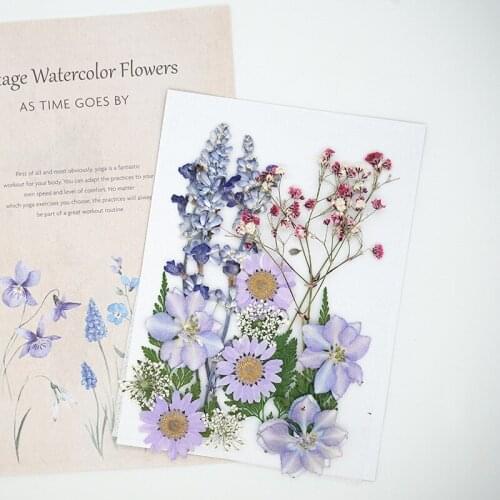 Natural UV Resin Flower Stickers DIY Epoxy Resin Dry Beauty Stickers Jewelry Decoration 1 Pack New 2020 Immortal Bride Make-up