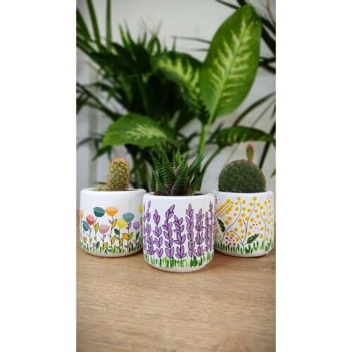 Concrete Pot And Sukulent Special Design Serial 3'lü Set