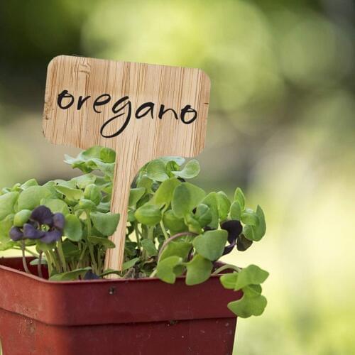 QITAI 100Pcs Plant Labels bamboo T-type Garden Seedlings Sign Tags Marker Sticks for Succulent Herbs Flowers Tray Seed Potted