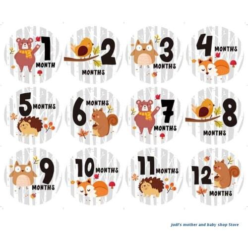 67JC Baby Pregnant Women Monthly Photograph Sticker Fun Month 1-12 Milestone Stickers