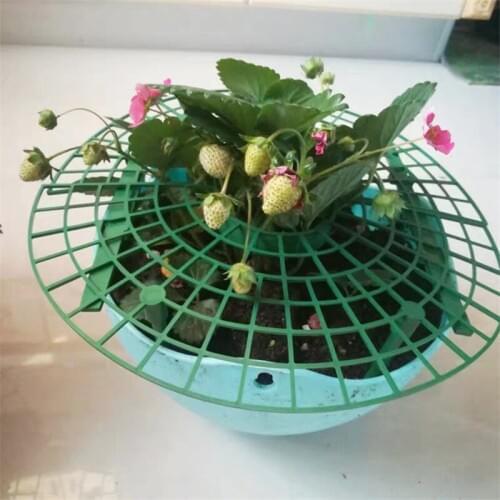 Strawberry Stand Frame Holder 5/10/15/20 Balcony Planting Rack Fruit Support Plant Flower Climbing Vine Pillar Gardening Stand
