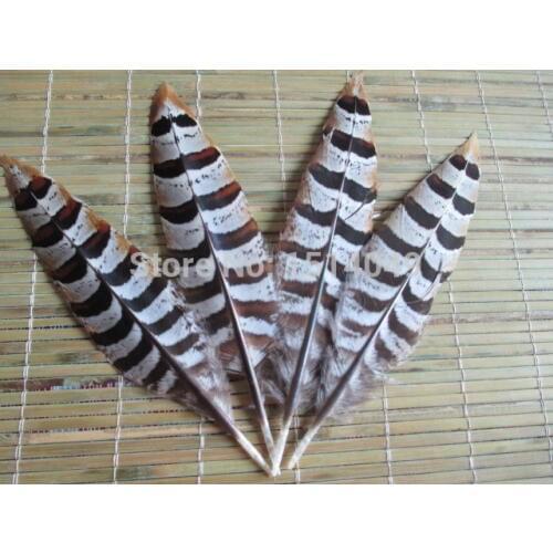 Free shipping wholesale 50pcs high quality natural Wild pheasant feathers 10-15cm / 4-6inch variety of decorative and collect