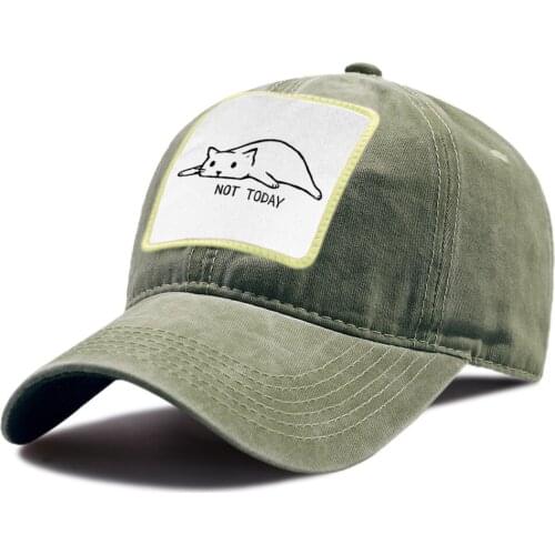 Cartoon Cats Not Today Print Baseball Caps Cotton Outdoor Snapback Hat Breathable Sports Riding Hats Sunscreen Unisex Golf Cap