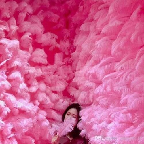 200pcs/pack 10-12 inch Ostrich Feather Plume Craft Supplies Wedding Party Table Centerpieces/web celebrity wall Decoration Hat a