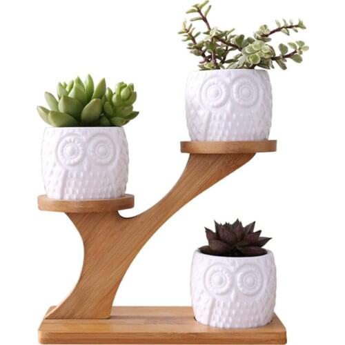 Cute Owl Pot Succulent Cactus Planter Flowerpot Set With 3 Layers Flower Pergola Bamboo Shelf Tray Kit Decor