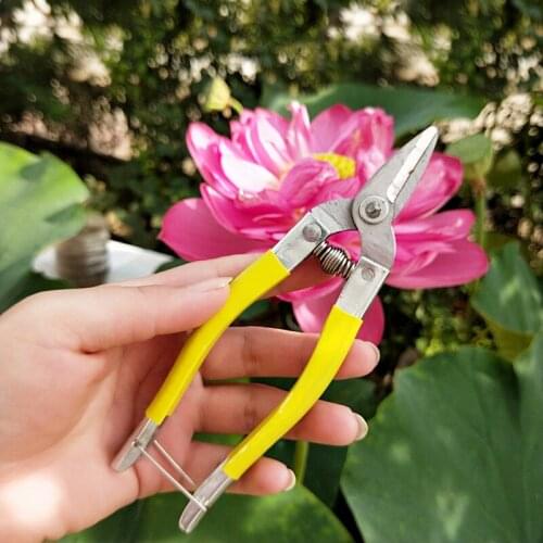 1PCs Stainless Steel Tree Pruner Cutter Gardening Branch Pruning Scissor Shears Anti-slip Sharp Durable Garden Hand Tools