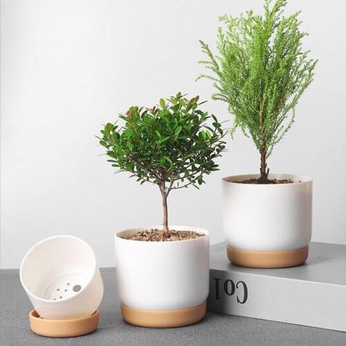 Succulent Plant Pot Water Absorption Double-layer Succulent Green Dill Small Green Plant Flowerpot Imitation Ceramic Planters