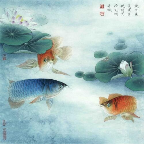 Chinese classical water lily three carp scenery oil painting canvas printings printed on canvas wall art decoration picture