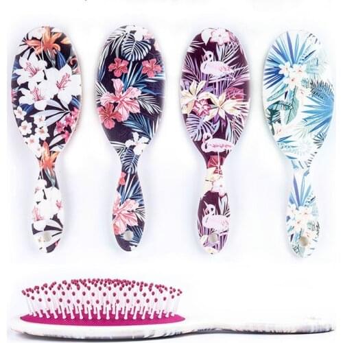 1pc Cute Anti-static Hair Brush Massage Comb Shower Wet Detangle Hair Brush Salon Hair Styling Tools Girls