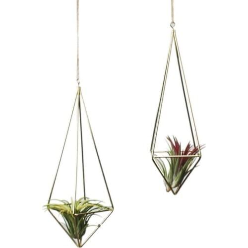 Hanging Tillandsia Air Plants Freestanding Wall Tillandsia Plants Rack Rustic Metal Wrought Iron Geometric Plant Holder Newest