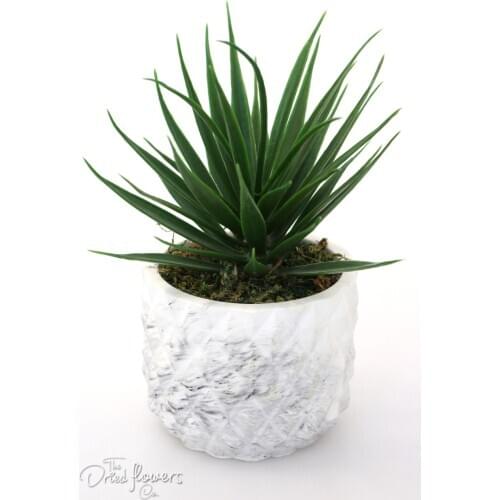 Artificial Flower Succulent Arrangement in Pineapple Model Concrete Flower Pot 19 cm