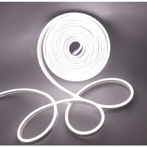Neon Strip AC 220V DC 12V LED Strip Waterproof Outdoor Decoration 2835 120LEDs/m Flexible Ribbon Tape LED Neon Lights