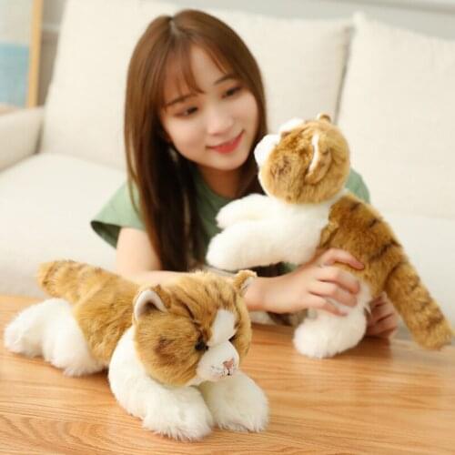 30cm Ctue Lifelike Two Color Little Cat Plush Toys Stuffed Lovely Animals Soft Pillow Dolls For Girls Kids Birthday Gifts