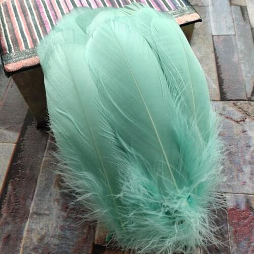 100pcs Natural Goose Feathers Mint Green Loose Goose feathers 12-20cm long Christmas decoration clothing shoes hat accessories