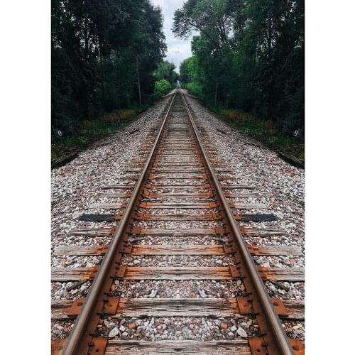 Tracks Stones Trees Photography Backdrop Computer Printed Fond Background Photo Studio for Portrait Children Baby Photobooth