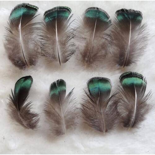 200Pcs/Lot! 4-5cm Lady Amherst Iridescent Green Plumage Feathers Crafts Jewelry Fly Tying,Plumas Decorativas