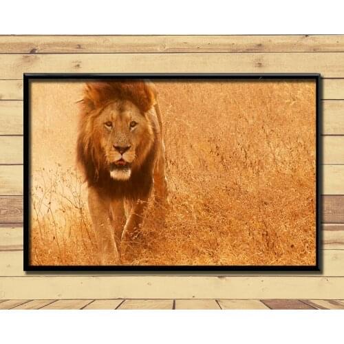 Lion King Of Animal Ferocious (33) Wall Posters Prints Silk Art Painting For Home Wall Bedroom Decor