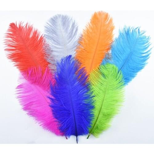10pcs/lot Natural Ostrich Feather Decor 20-25cm/8-10" White Ostrich Feathers for Crafts plumas carnaval Feathers Decoration DIY