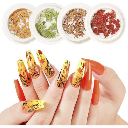 1 Box 12 Color Nails Maple Leaf DIY Handmade Colorful Maple Leaf Nail Art Stickers 50 Pcs Stylish 3D Nail Decorations