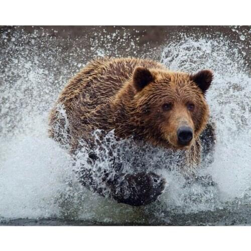 5D DIY Diamond Painting Bear Cross Stitch Bear In Water Animal Needlework Mosaic Home Decorative Full Square Diamond Embroidery