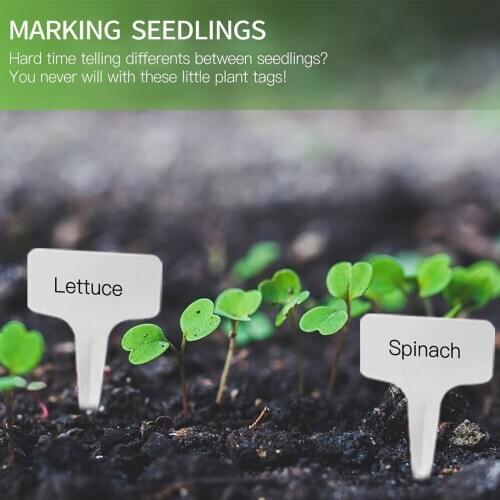 100PCS PVC Garden Labels Gardening Plant Sorting Sign Tag Ticket Plastic Writing Plate Board Plug Economic Wholesale Price