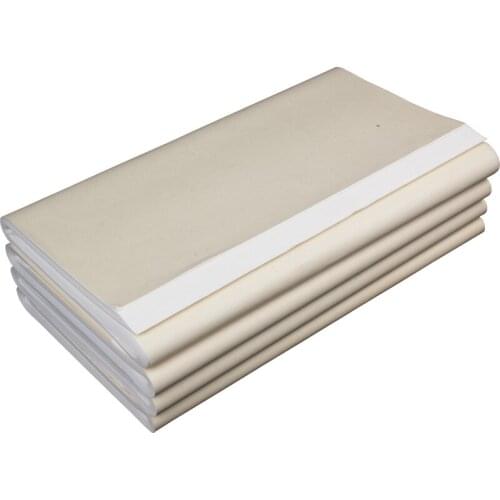 100sheets Raw Half Ripe Xuan Paper Student Calligraphy Papier Beginners Practice Special Papier Chinese Painting Carta Di Riso
