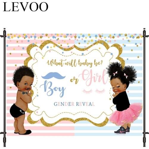 LEVOO Photographic Background Gender Reveal Princess Prince Stripe Spot Backdrop Photo Shoot Photocall Photobooth Prop Custom