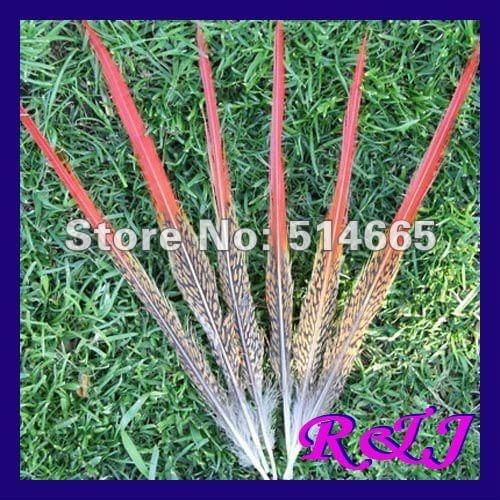 Free Shipping 100pcs/lot pheasant tail Feather product For Party Performance Approx 20-25cm or 8-10inch
