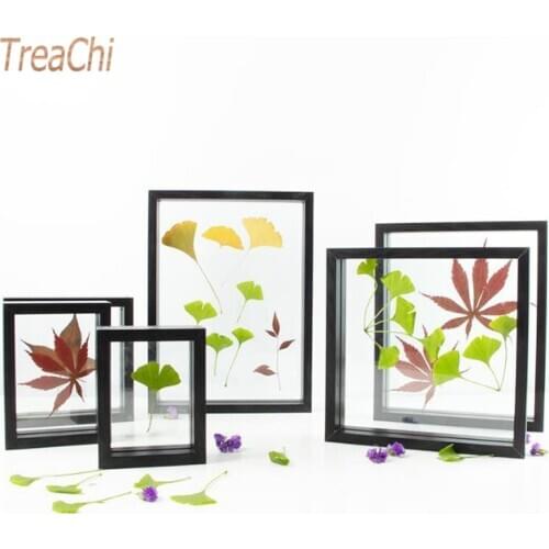 Plant Dried Flower Leaf Specimen Box Square A4 Paper-cut Picture Frame Double-sided Glass Photo Frame Table Wall Picture Frame
