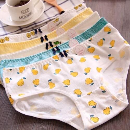 Free Shipping 5pcs/lot Hot New Cotton Ladies Briefs Cartoon Printed Cuddly Underpants Ladies Underwear 0755-1