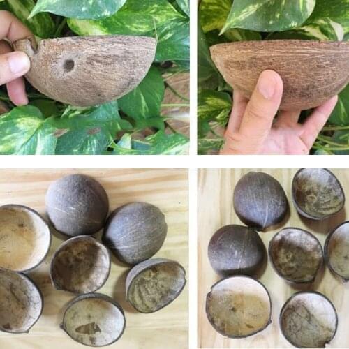 Coconut Shell Half bowl Cup Handmade Organic Bowl 100% Organic Eco Friendly Natural JUMBO Bowl Handmade polishing bowl