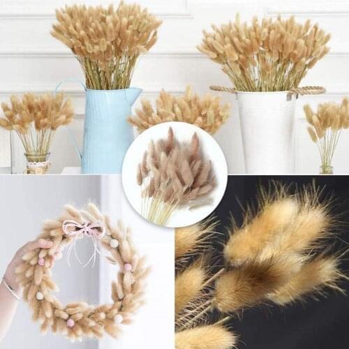 Dried Flower Bunny Tail Natural Plants Floral Rabbit Decoration Home Accessories Home Grass Decoration Ceremony Festival Bo U1B6