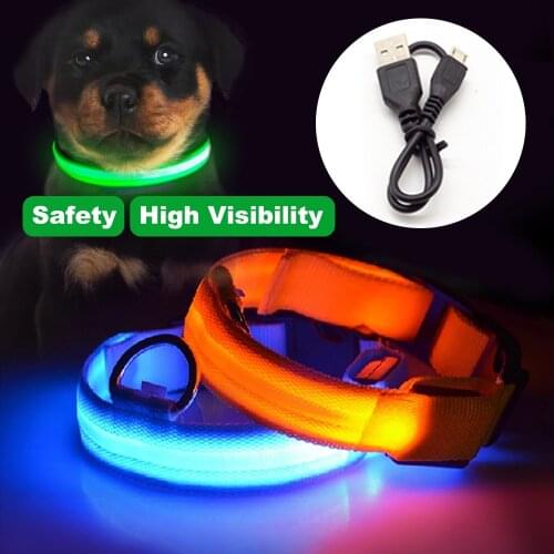 USB Charging Led Dog Collar Anti-Lost/Avoid Car Accident Luminoso Perros Safety Perro Personalizado Big Dogs Chiens Pet Products